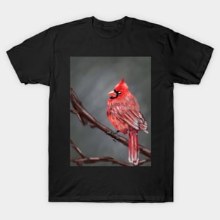 Red Cardinal T-Shirt